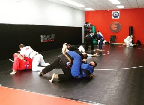 Kaiju MMA & Fitness academy photo