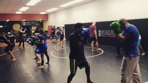 Kaiju MMA & Fitness academy photo