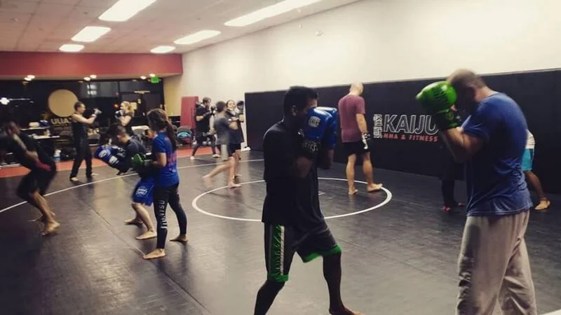 Kaiju MMA & Fitness academy photo