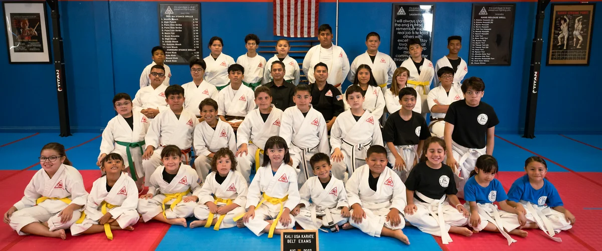 Kali USA Martial Arts School visual