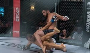 KDMMA Mixed Martial Arts Academy (MMA Glendale) facility image