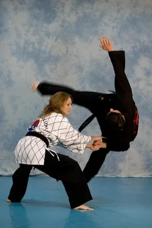 Kim’s Hapkido visual