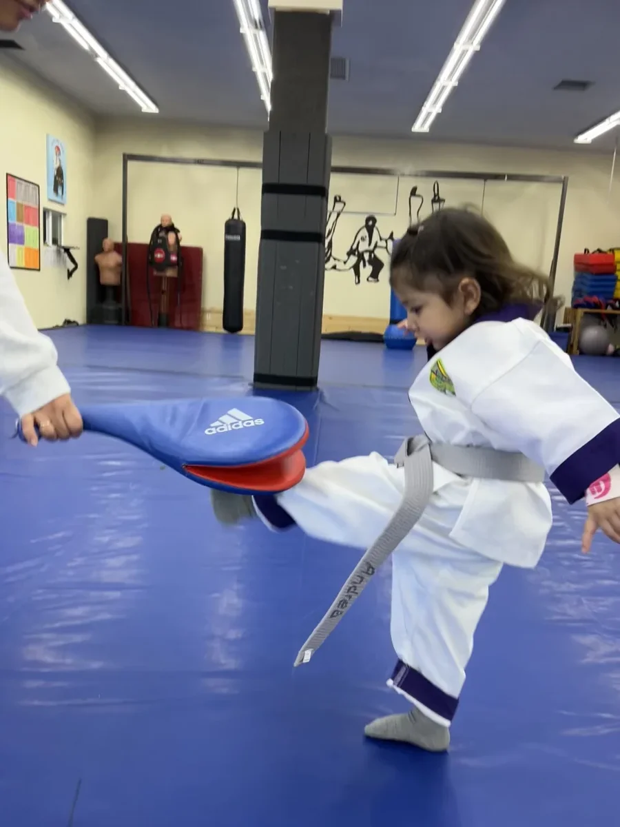 Kim’s Hapkido academy photo