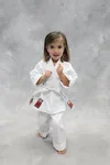 Kim’s Hapkido academy photo