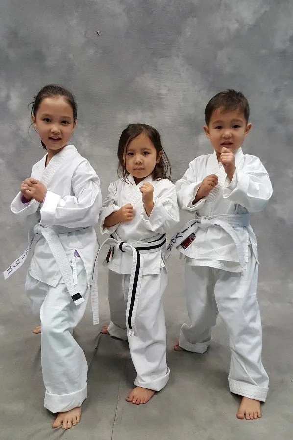 Kim’s Hapkido academy photo