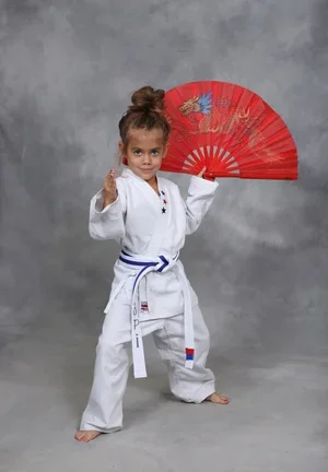Kim’s Hapkido academy photo