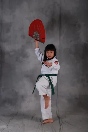 Kim’s Hapkido academy photo