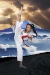 Kim’s Hapkido academy photo