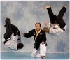 Kim’s Hapkido academy photo