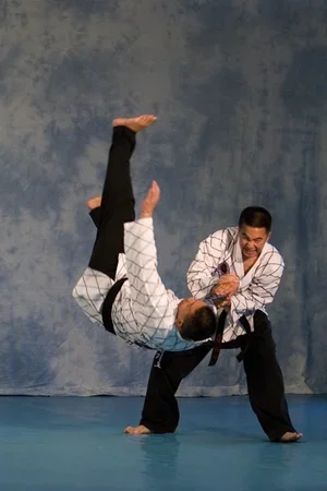 Kim’s Hapkido academy photo