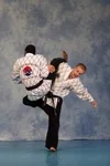 Kim’s Hapkido academy photo