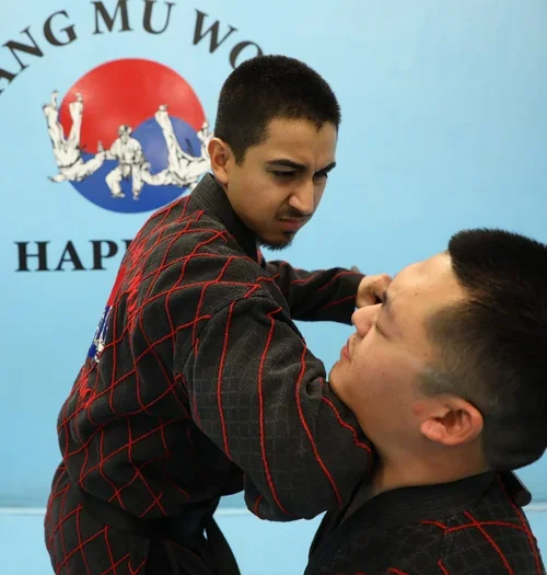 Kim’s Hapkido academy photo