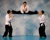 Kim’s Hapkido academy photo