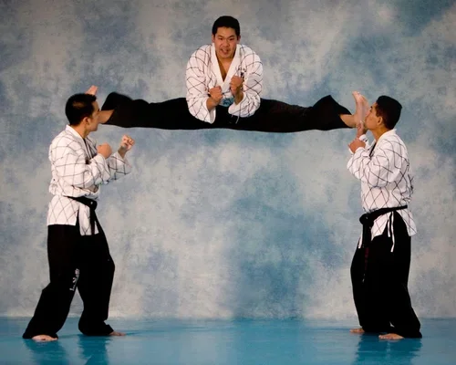 Kim’s Hapkido academy photo