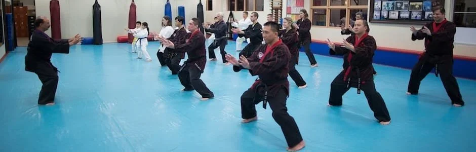 Kim’s Hapkido academy photo