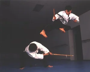 Kim’s Hapkido academy photo