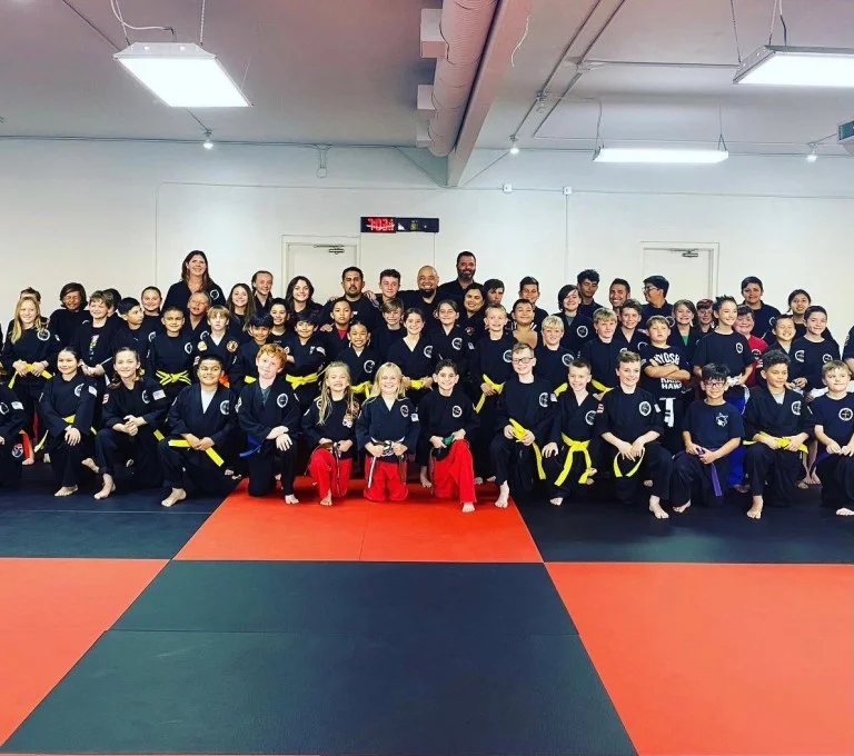 Kiyoshi Lim Kenpo Karate & Jiu Jitsu academy photo