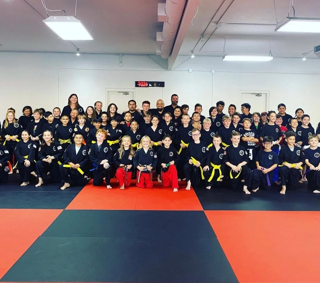 Kiyoshi Lim Kenpo Karate & Jiu Jitsu academy photo