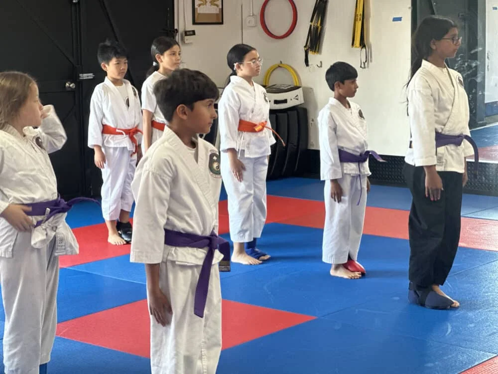 Kokua Martial Arts Fitness Academy academy photo