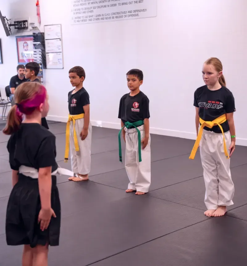 Kovar's Satori Academy / Kovar's Folsom Martial Arts Academy academy photo