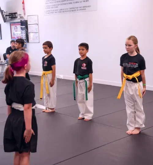 Kovar's Satori Academy / Kovar's Folsom Martial Arts Academy academy photo