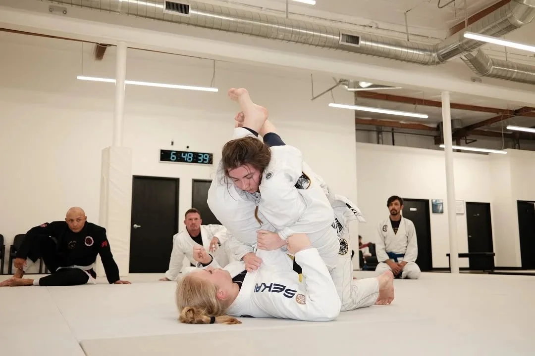 Lebre Jiu Jitsu Academy academy logo