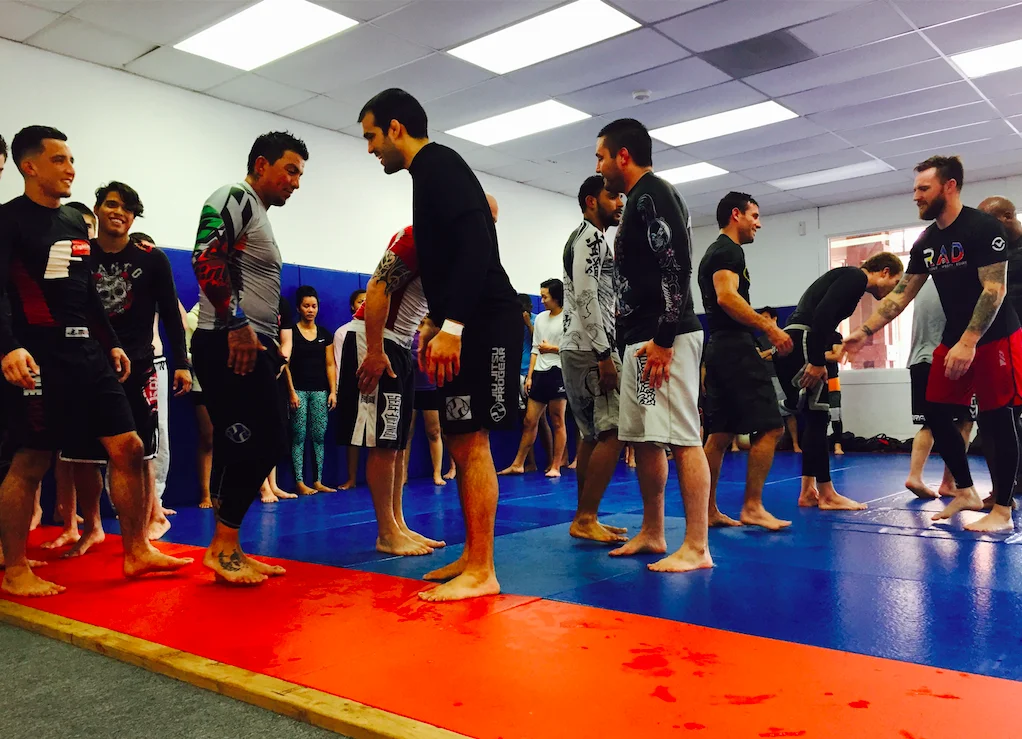 LEOPOLDO SERAO BRAZILIAN JIU-JITSU & MARTIAL ARTS ACADEMY academy photo