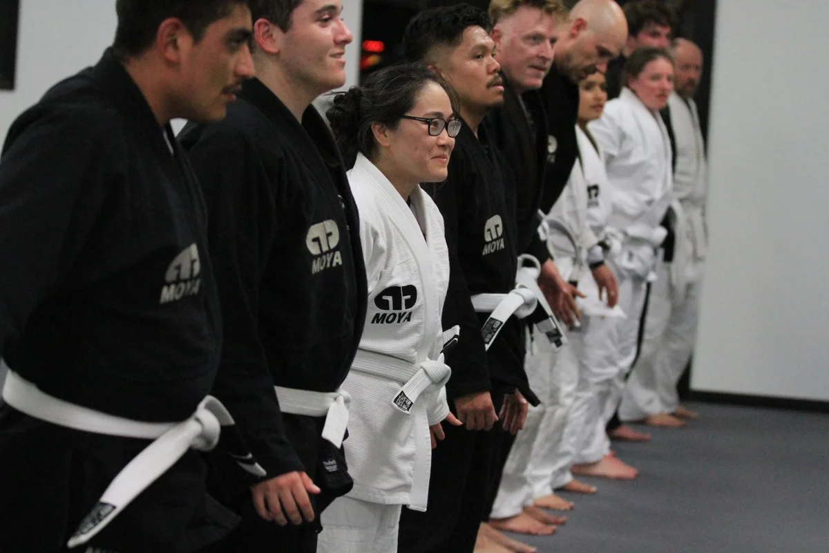 LEVEL 3 Martial Arts Performance academy photo