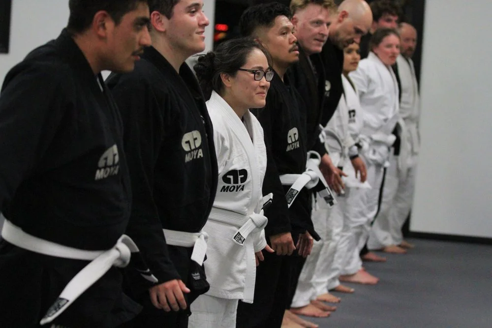 LEVEL 3 Martial Arts Performance academy photo