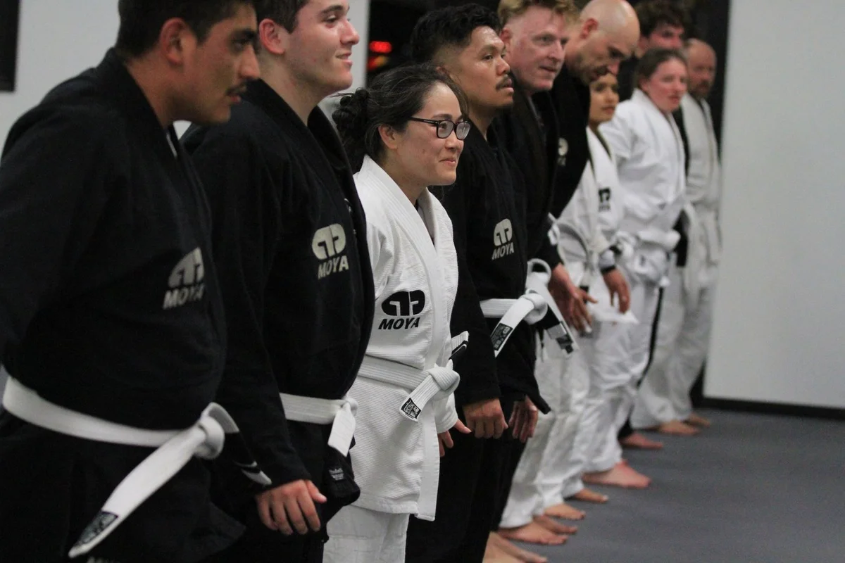 LEVEL 3 Martial Arts Performance academy photo