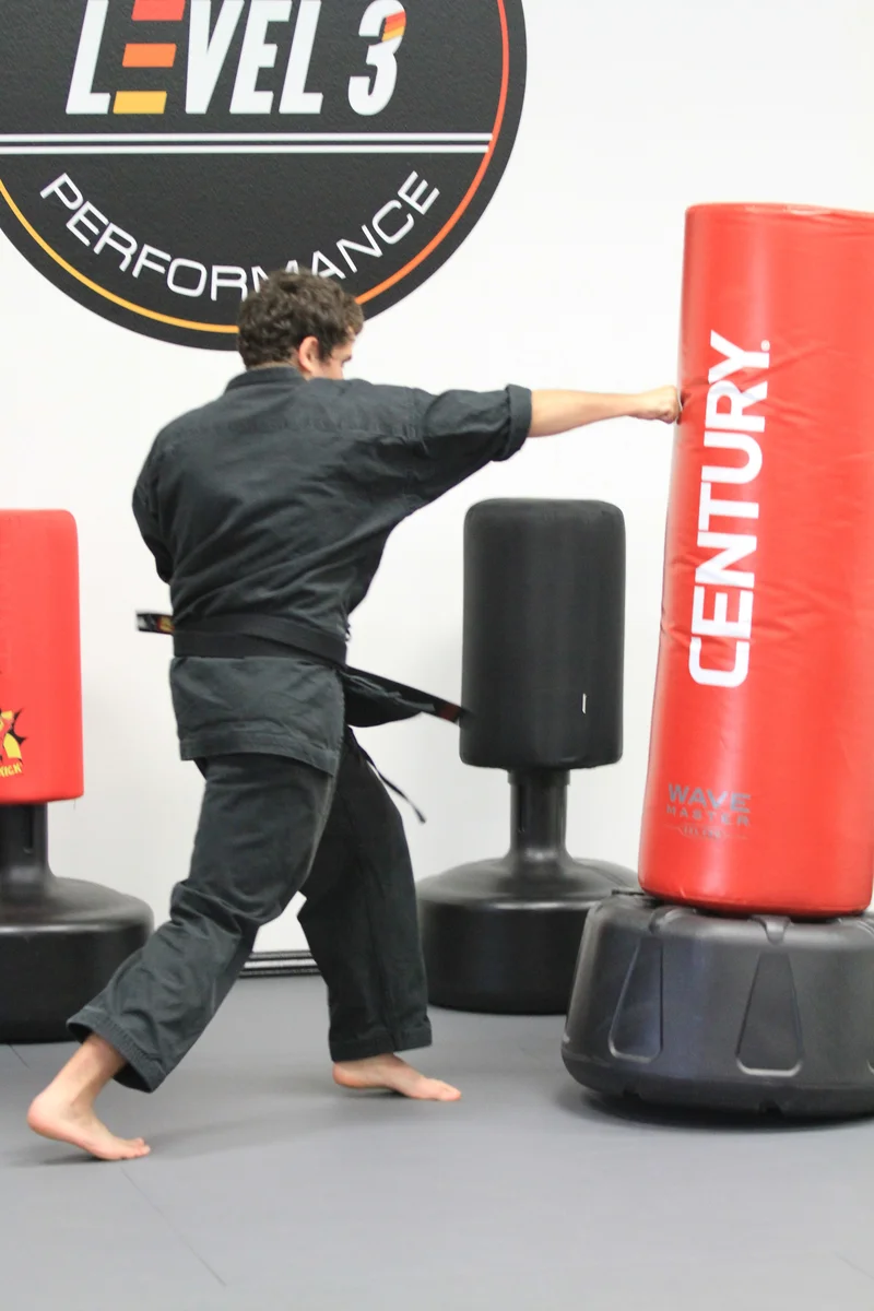 LEVEL 3 Martial Arts Performance academy photo