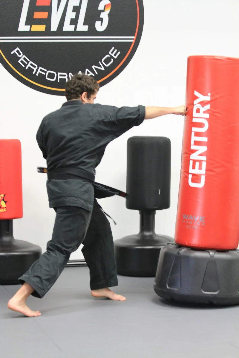 LEVEL 3 Martial Arts Performance academy photo