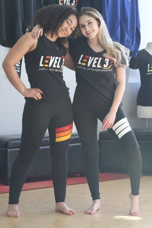 LEVEL 3 Martial Arts Performance academy photo