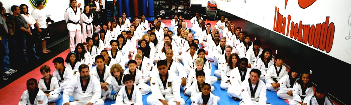 Lima Taekwondo & Martial Arts Academy (LIMA TKD) facility image