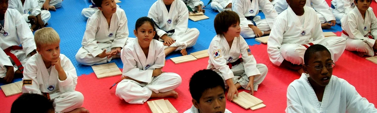 Lima Taekwondo & Martial Arts Academy (LIMA TKD) academy logo