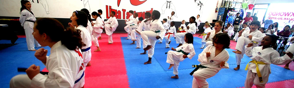 Lima Taekwondo & Martial Arts Academy (LIMA TKD) facility image