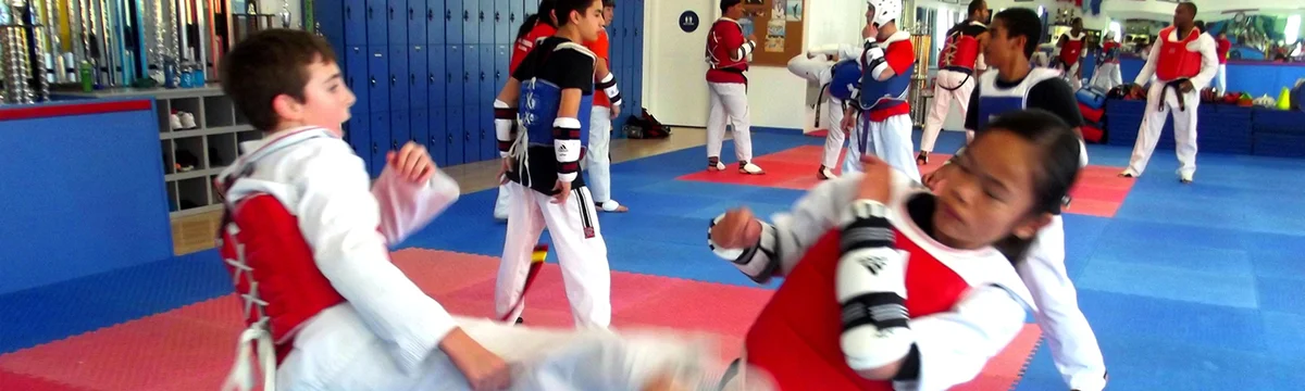 Lima Taekwondo & Martial Arts Academy (LIMA TKD) facility image