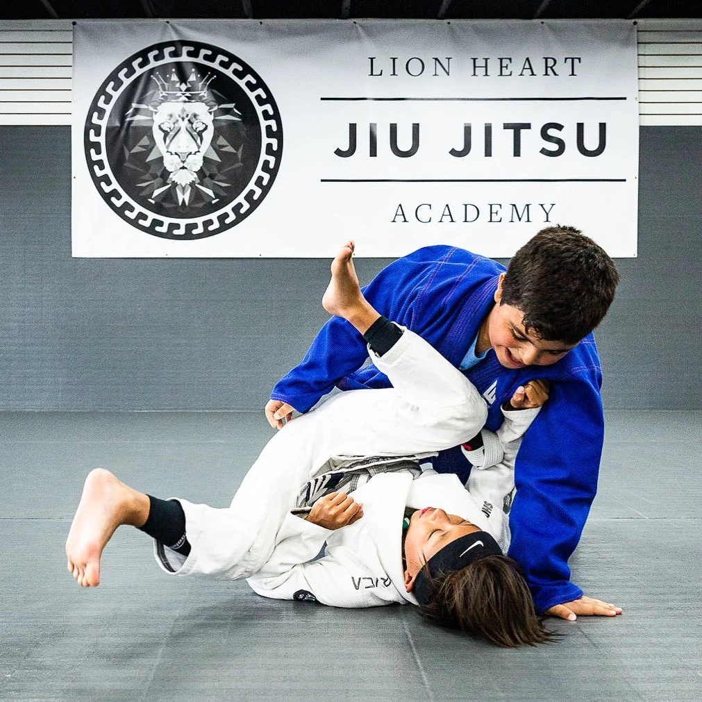 Lion Heart Jiu Jitsu Academy academy photo