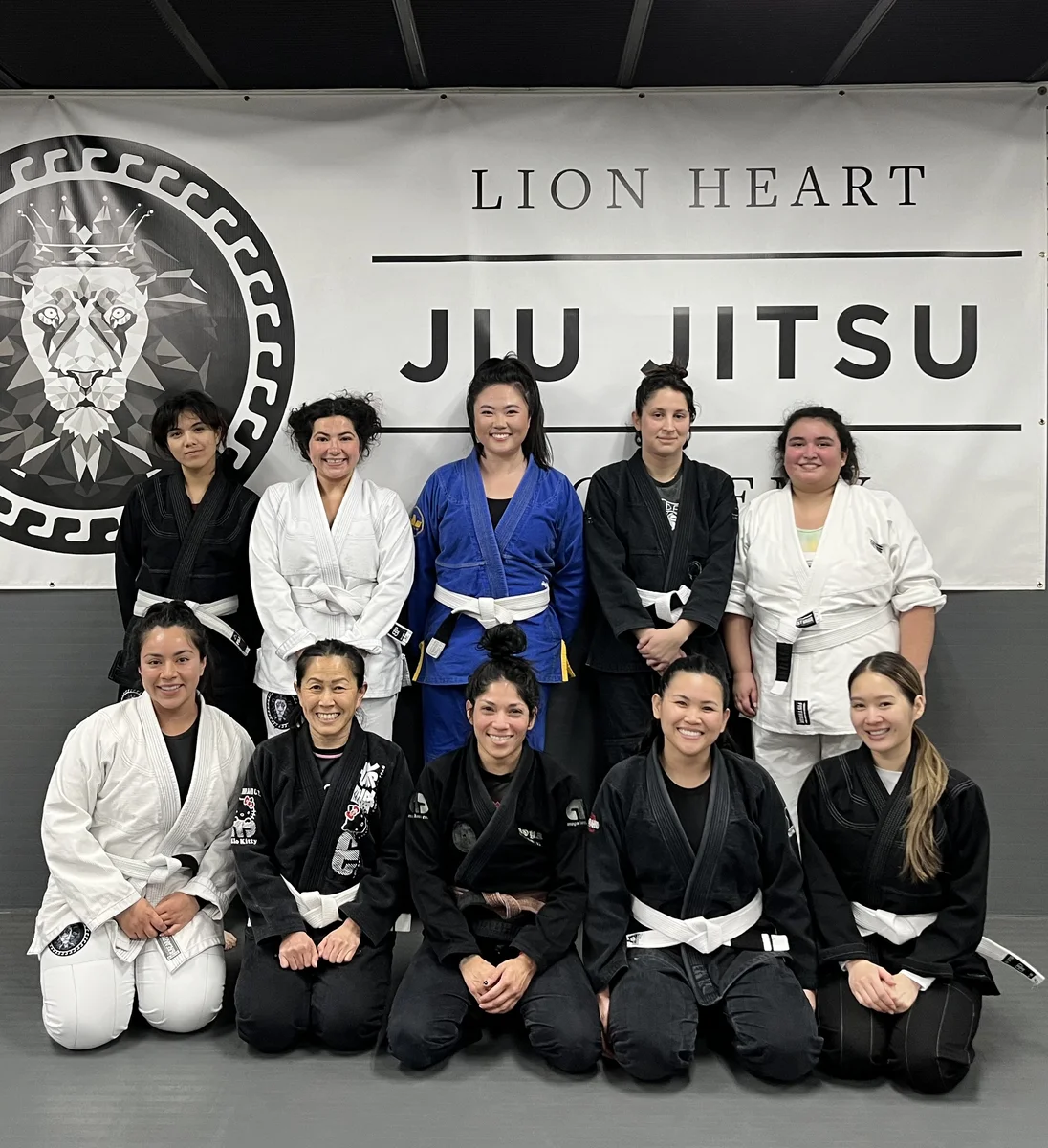 Lion Heart Jiu Jitsu Academy academy photo