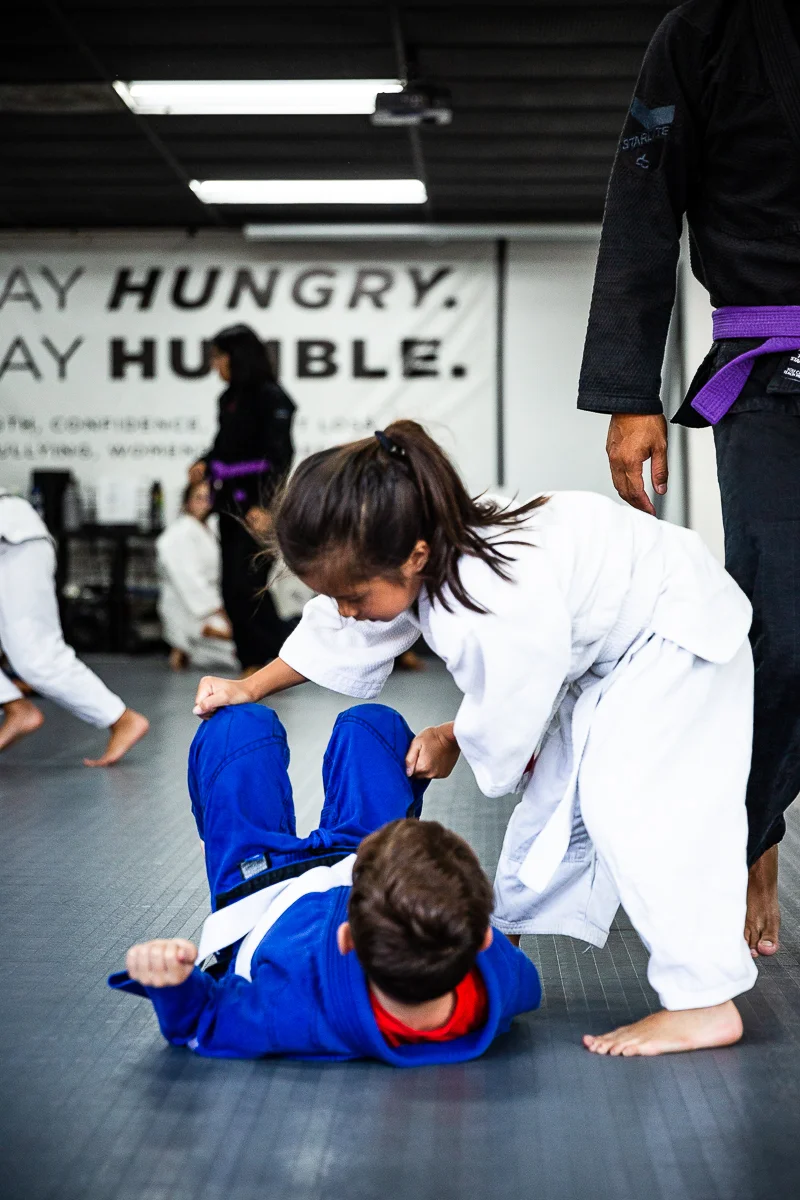 Lion Heart Jiu Jitsu Academy academy photo