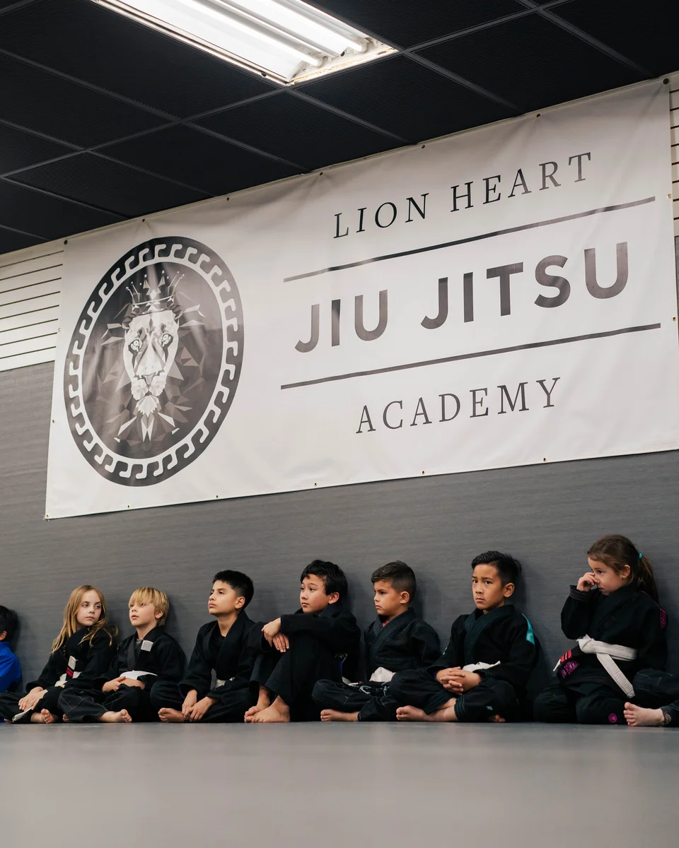Lion Heart Jiu Jitsu Academy academy photo