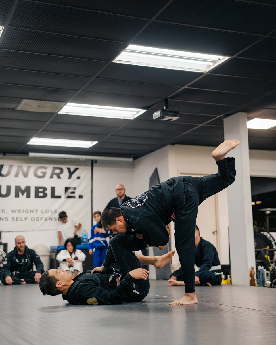 Lion Heart Jiu Jitsu Academy academy photo