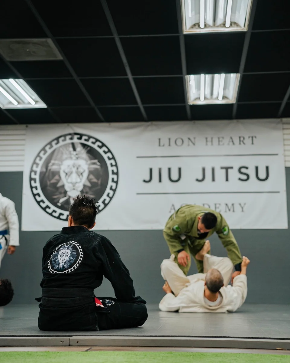 Lion Heart Jiu Jitsu Academy academy photo