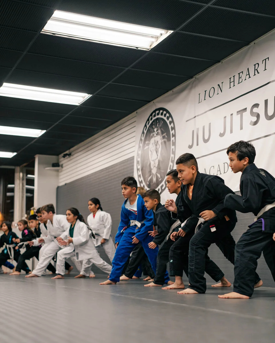 Lion Heart Jiu Jitsu Academy academy photo