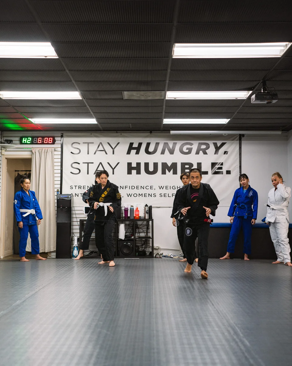 Lion Heart Jiu Jitsu Academy academy photo