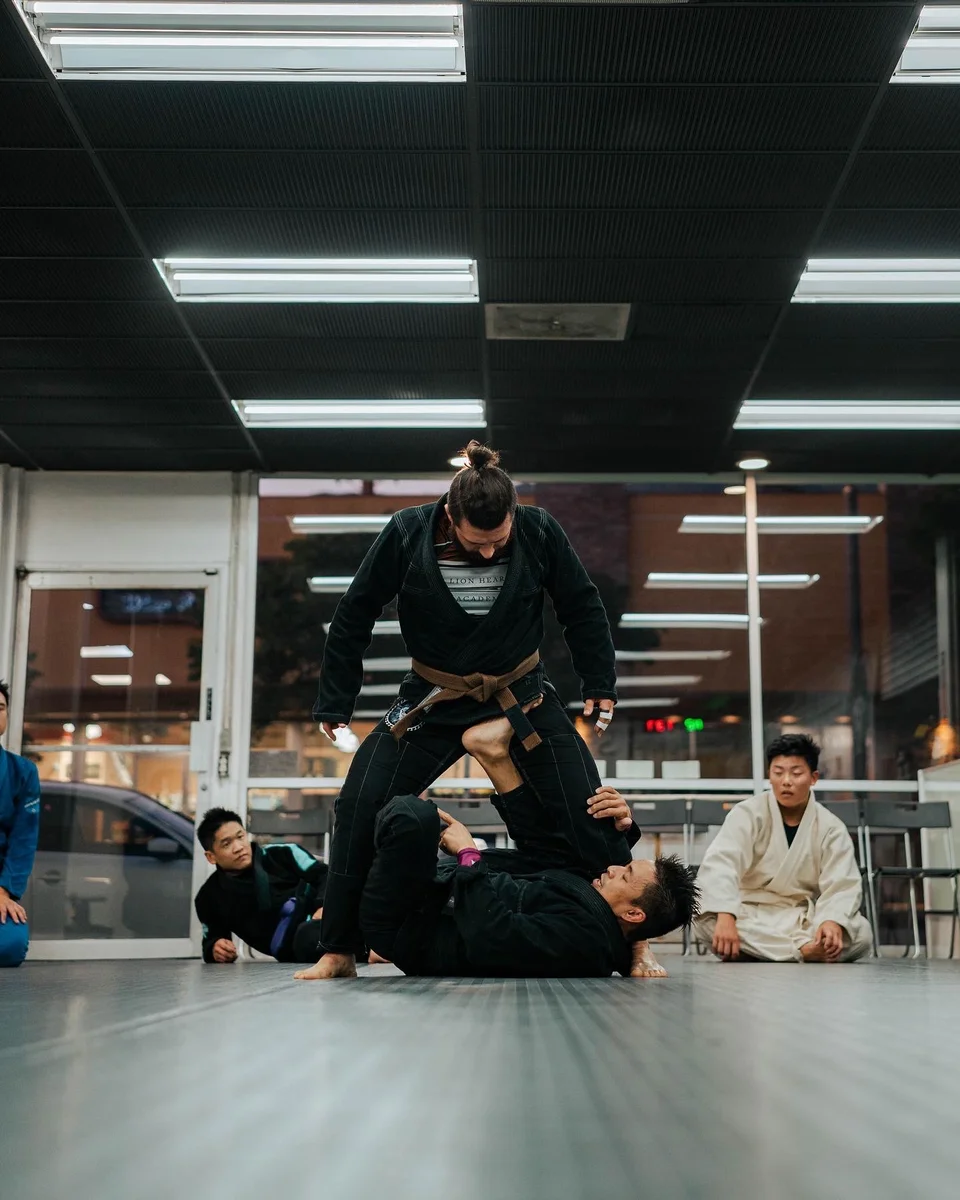 Lion Heart Jiu Jitsu Academy academy photo