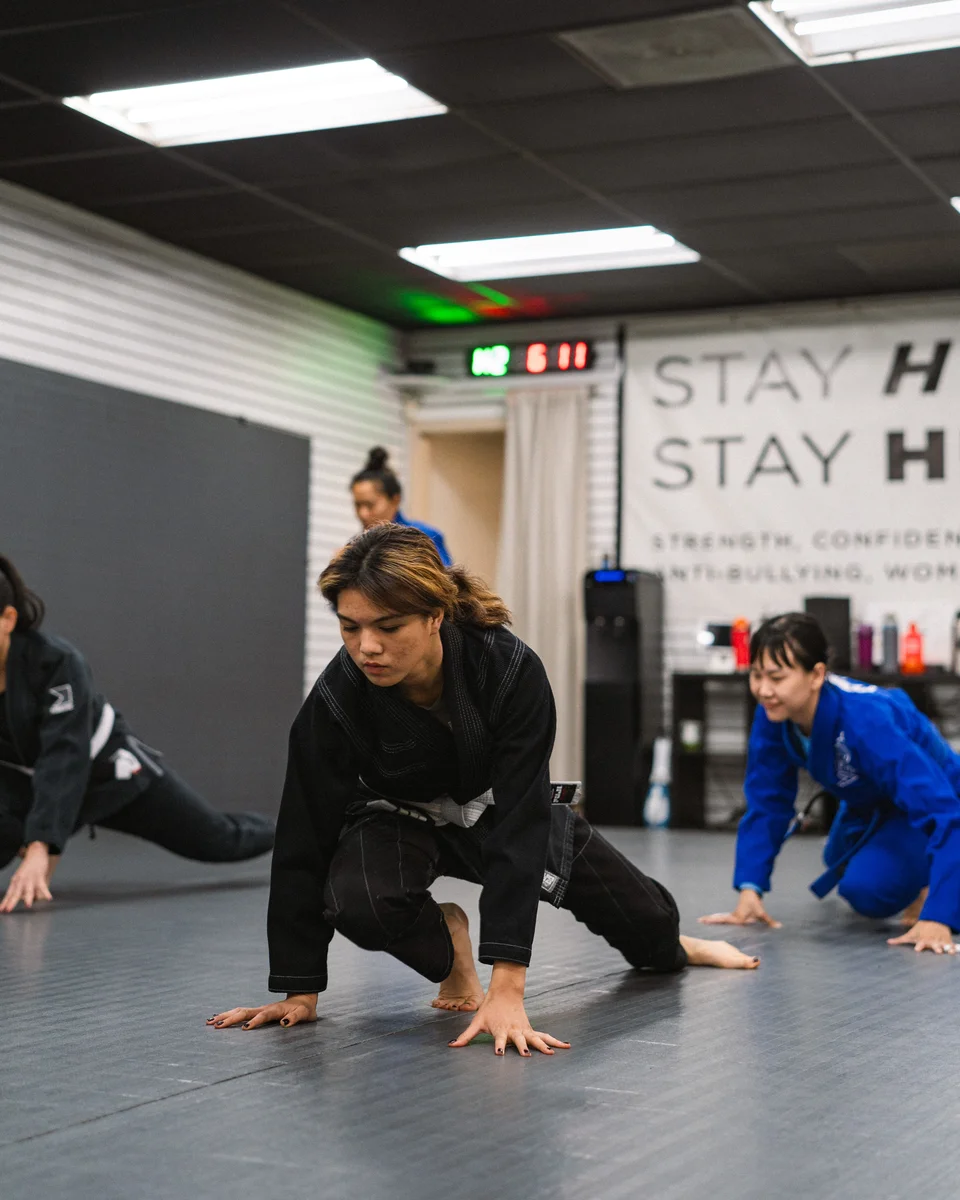 Lion Heart Jiu Jitsu Academy academy photo