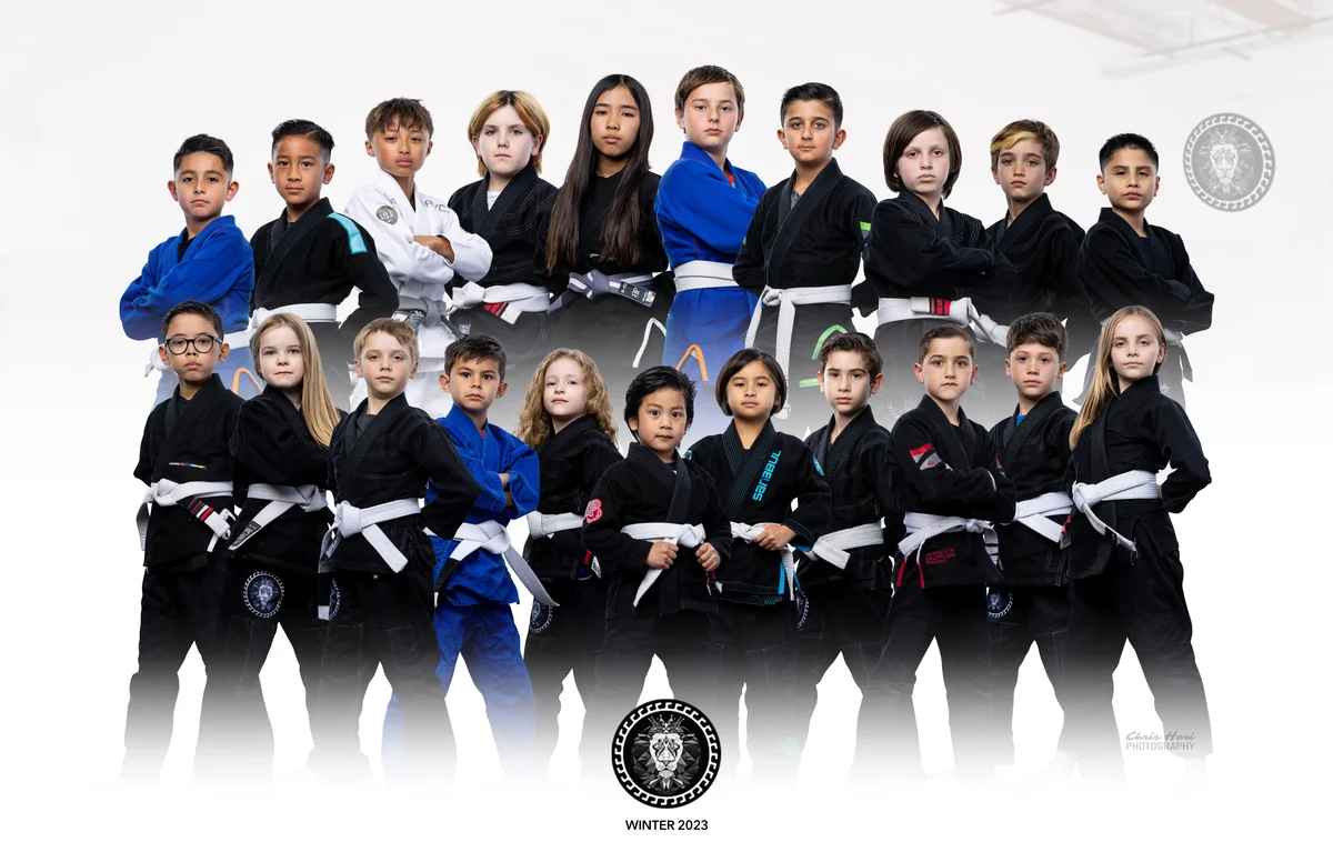 Lion Heart Jiu Jitsu Academy academy photo