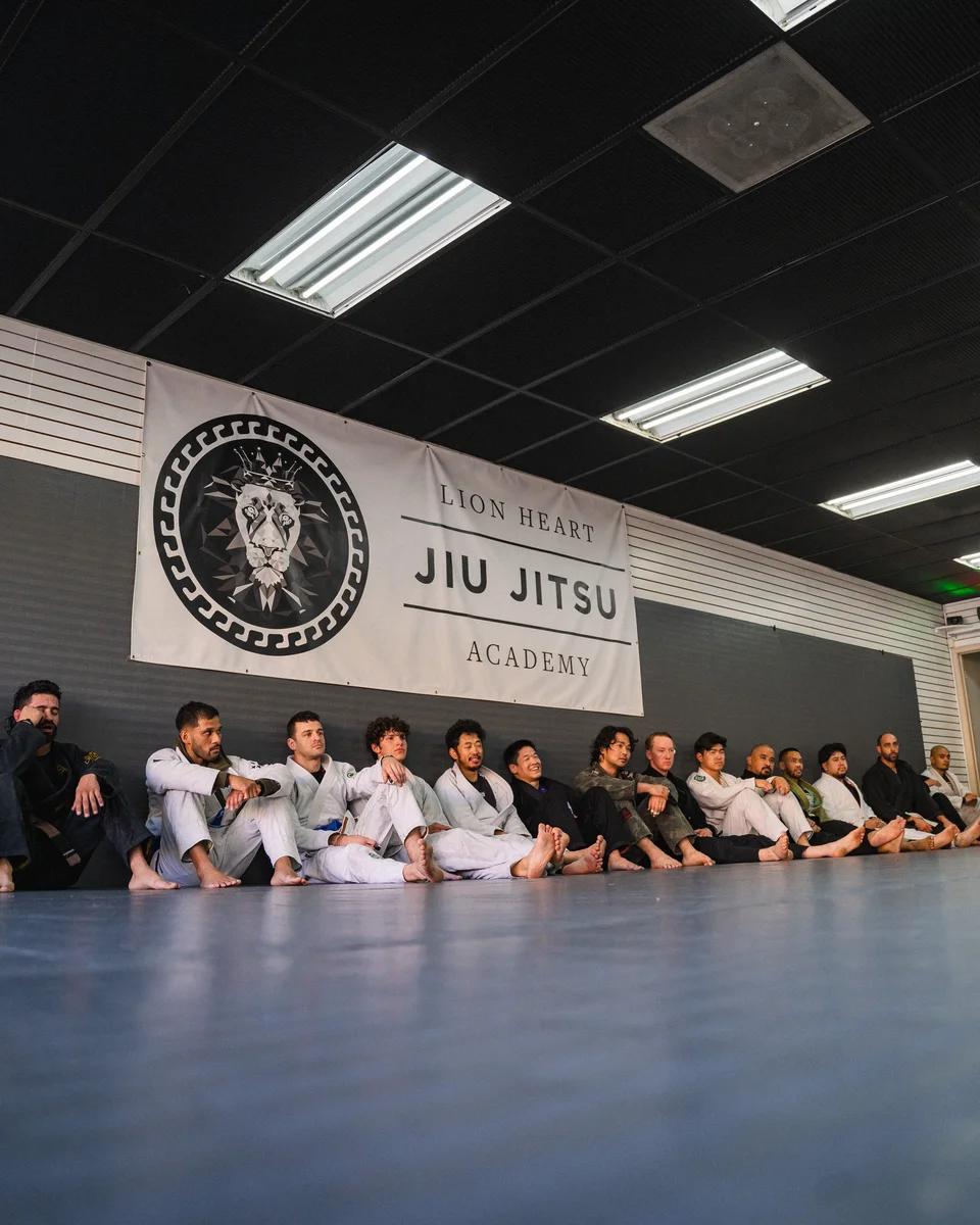 Lion Heart Jiu Jitsu Academy academy photo