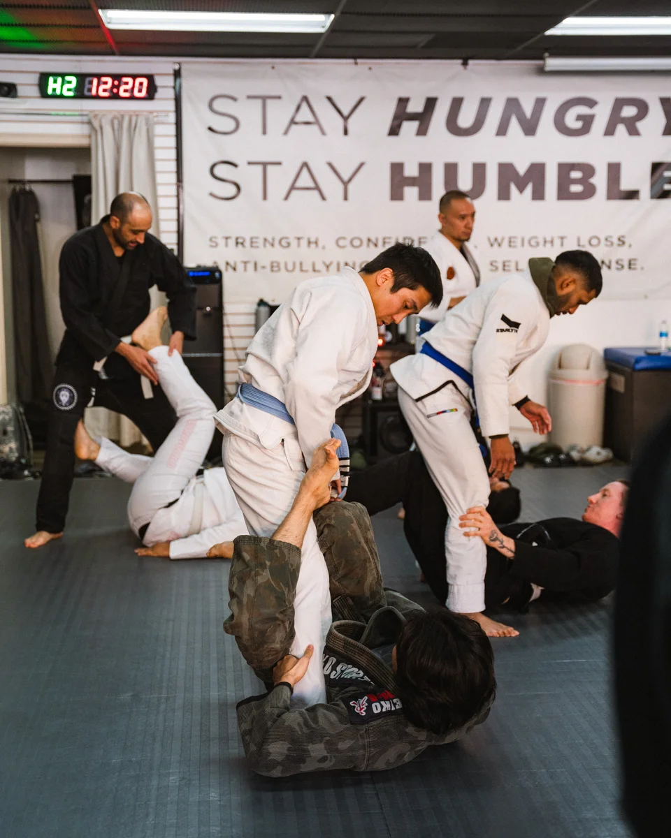 Lion Heart Jiu Jitsu Academy academy photo